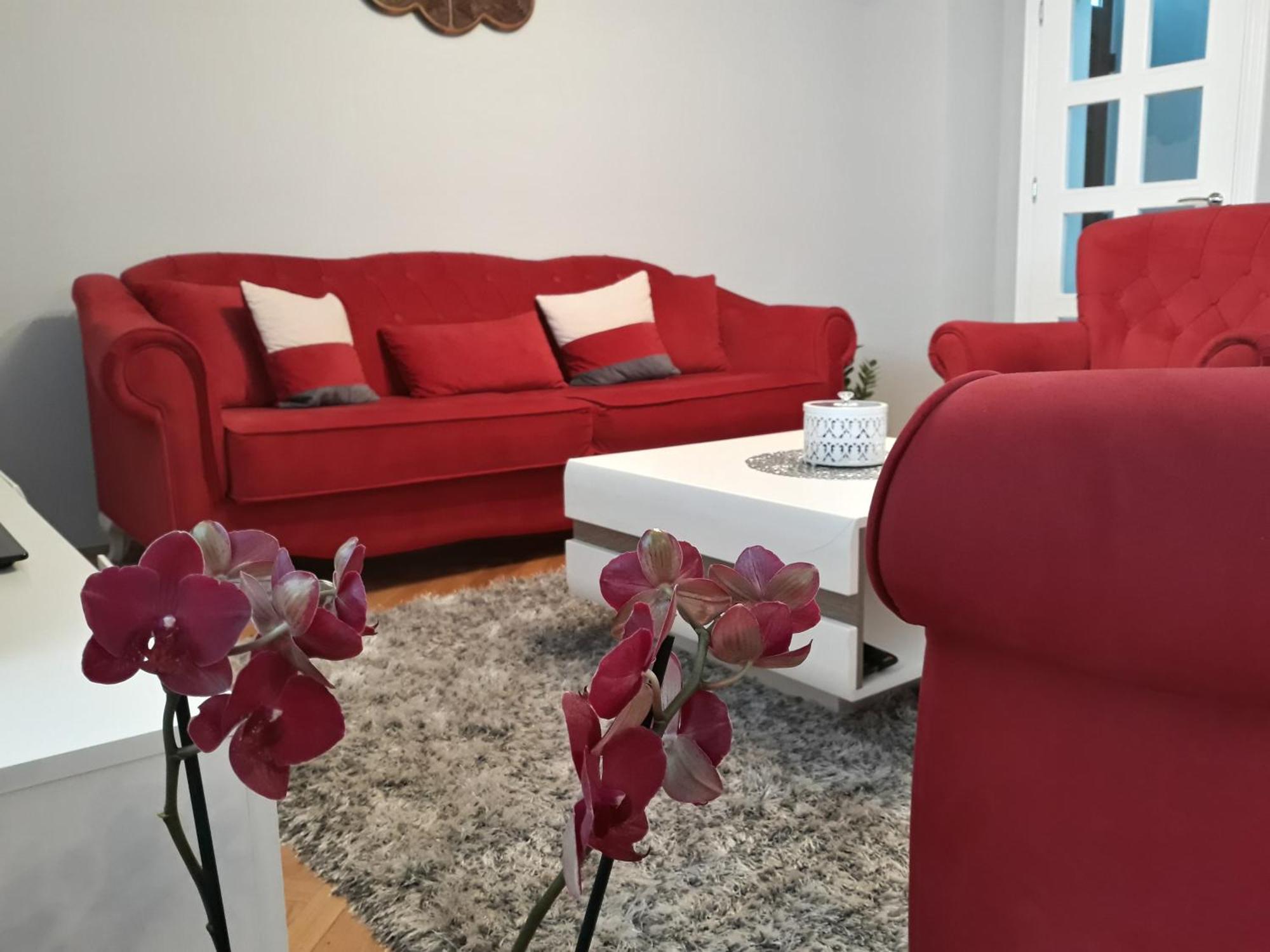 Apartments Popovic Kotor Kültér fotó
