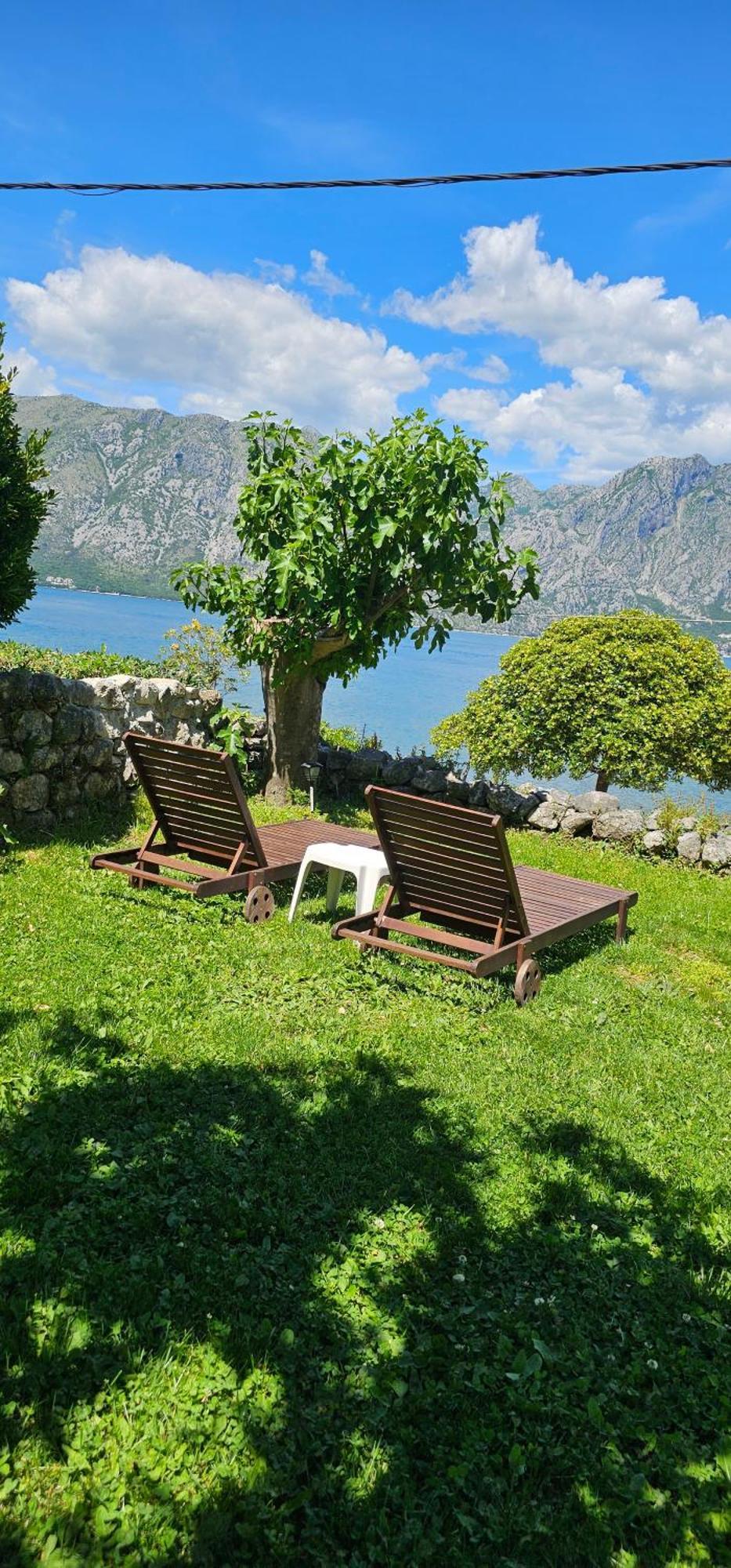 Apartments Popovic Kotor Kültér fotó