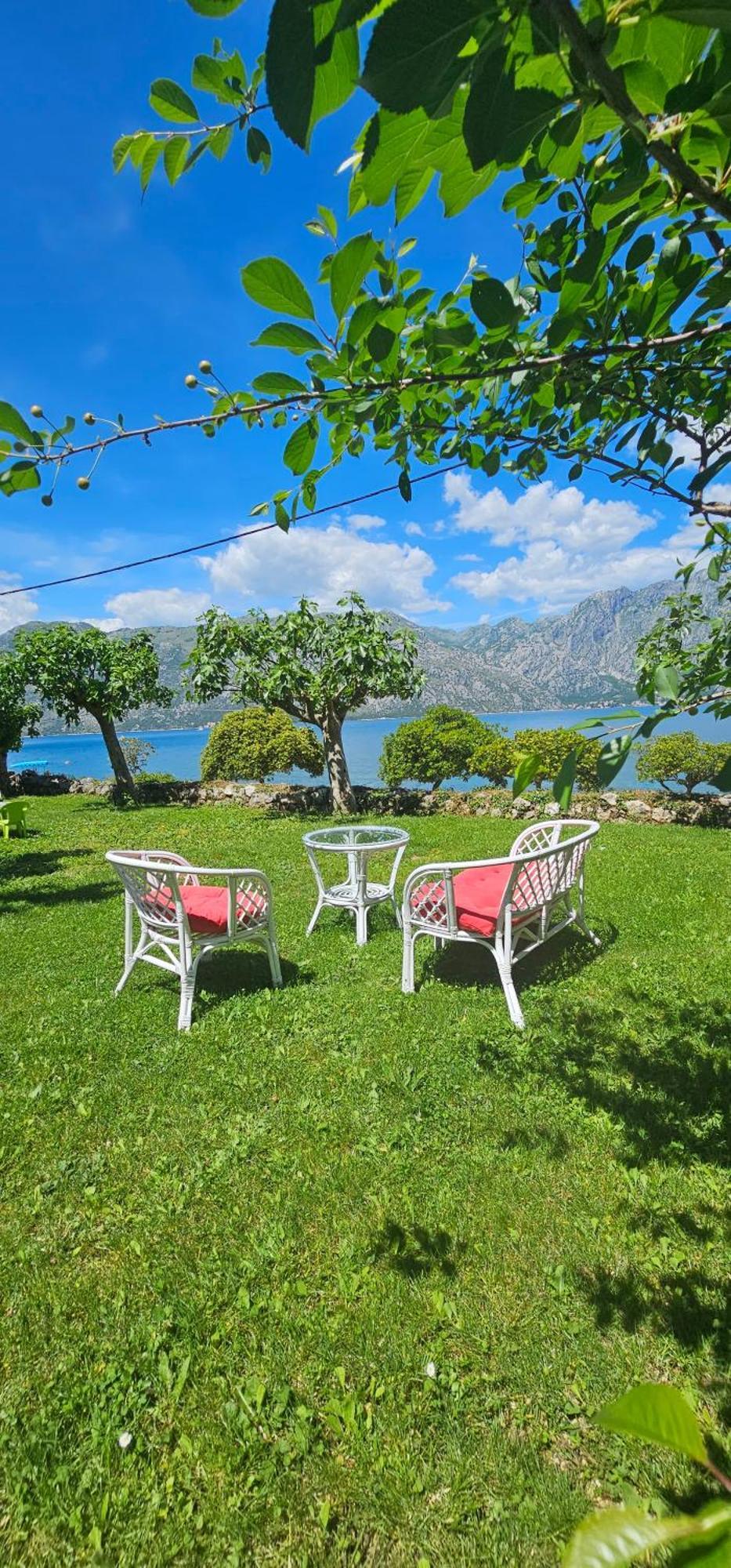 Apartments Popovic Kotor Kültér fotó