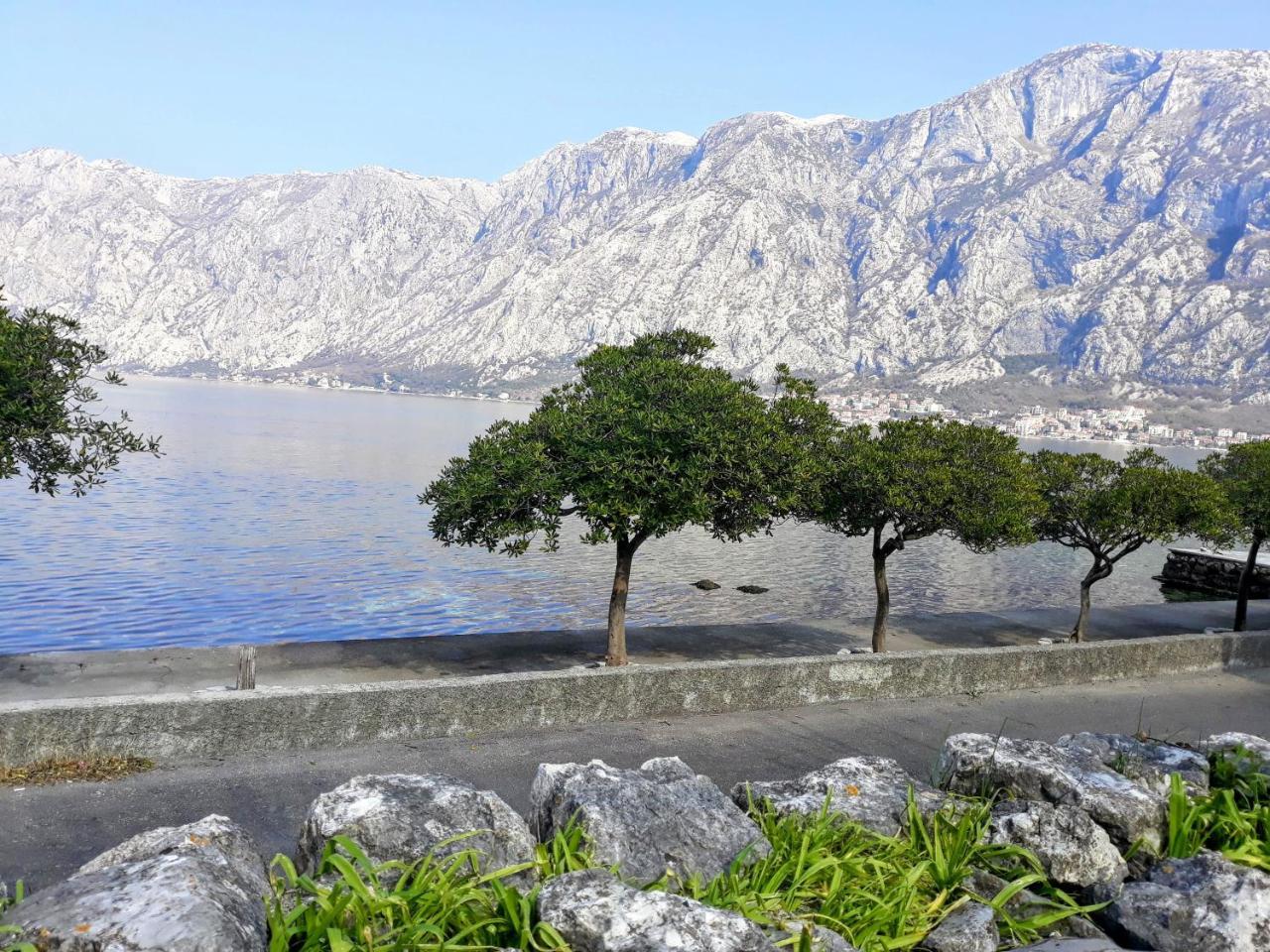 Apartments Popovic Kotor Kültér fotó